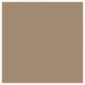 Klinker-Victorian-Floor-Tiles-kvadrat-15x15-cm-Regency-Bath-322-310-FP-41cd.jpg